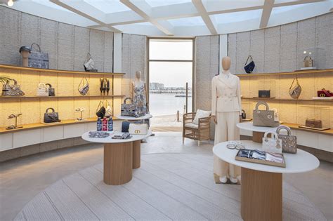 dior 3d|Dior 3d printed store.